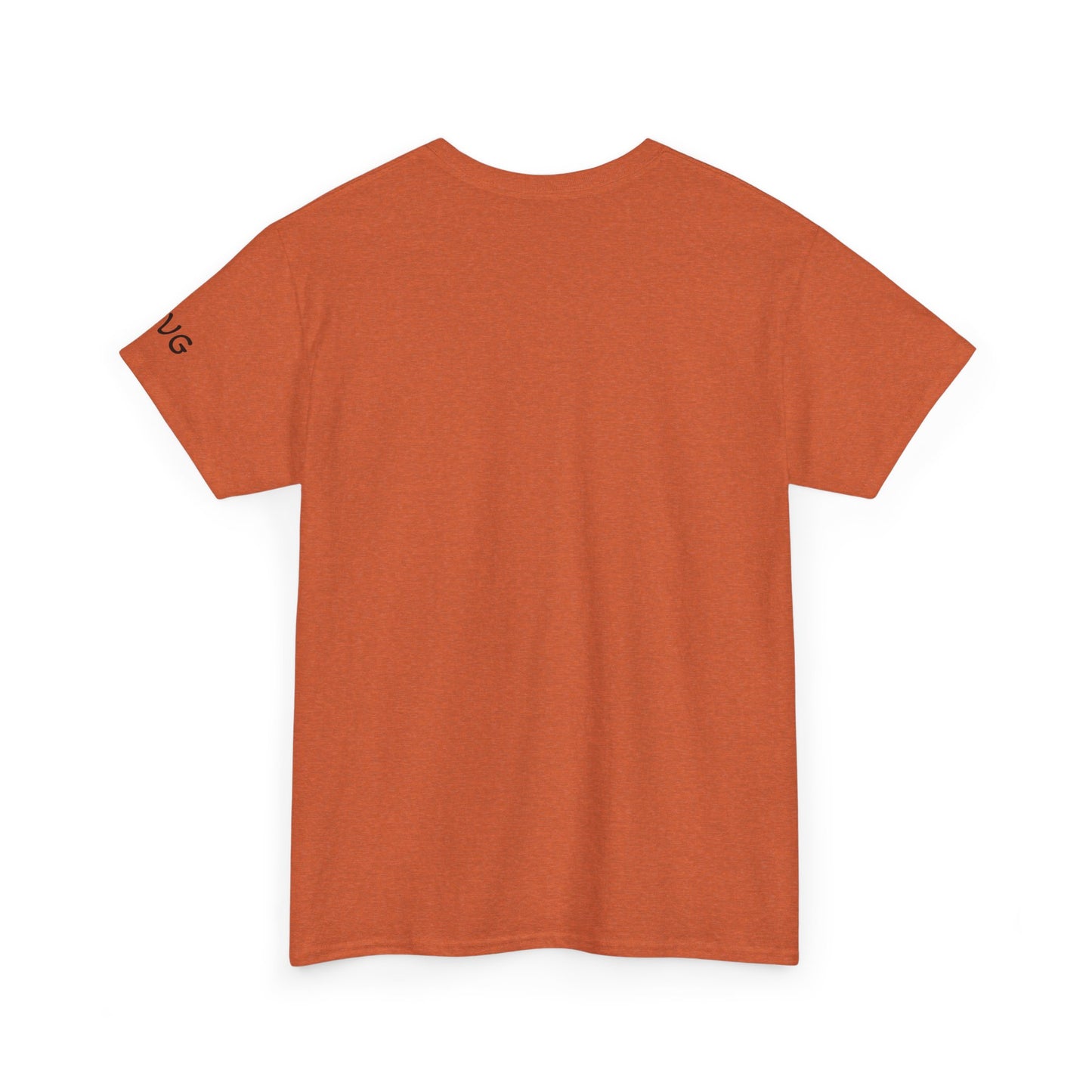 Is not rocket science - Tee Shirt Antique Orange Color