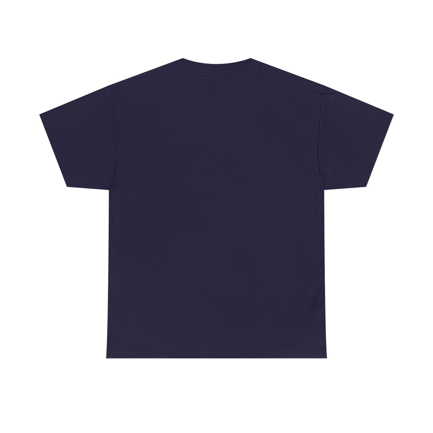 Is not rocket science - Tee Shirt